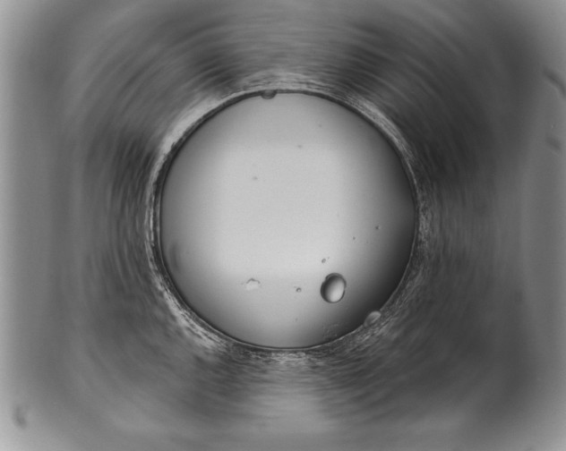 X0000100411144200806201753