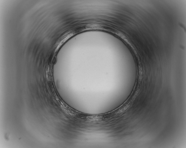 X0000100411145200806201753