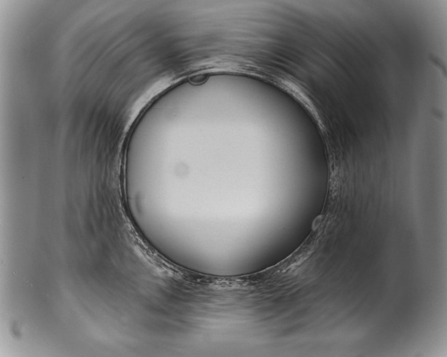 X0000100411146200806201753