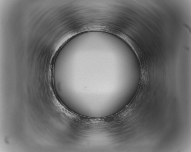 X0000100411147200806201753