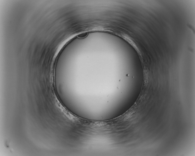 X0000100411148200806201753