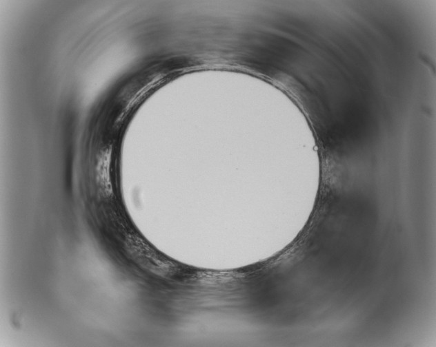 X0000100411150200806201753