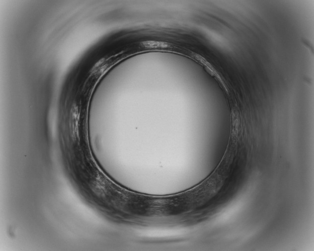 X0000100411151200806201753