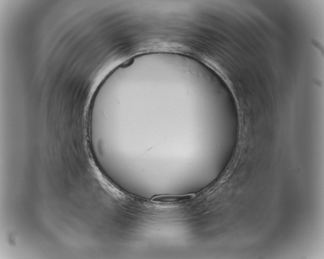 X0000100411152200806201753