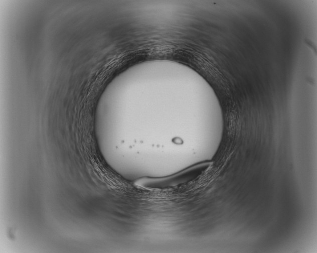 X0000100411153200806201753