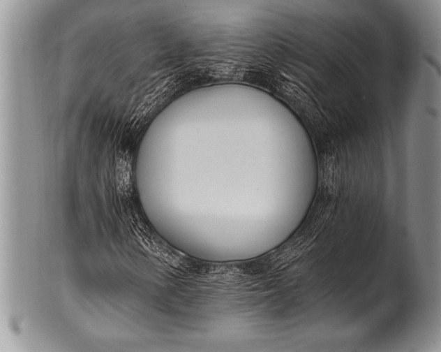 X0000100411154200806201753