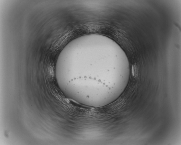 X0000100411155200806201752