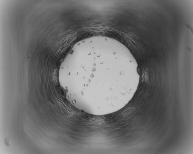 X0000100411156200806201752