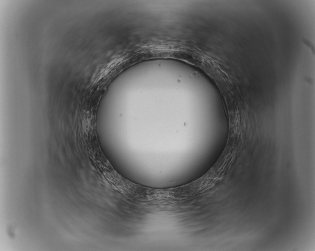 X0000100411157200806201752