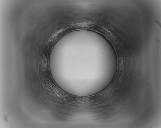 X0000100411158200806201752