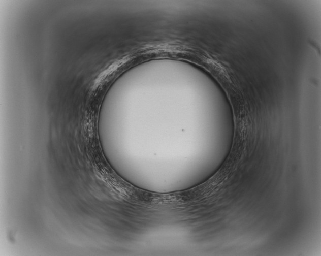 X0000100411159200806201752