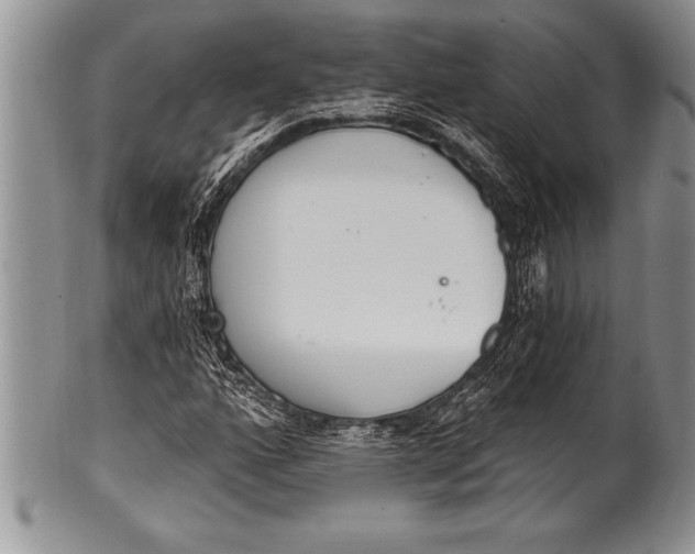 X0000100411160200806201752