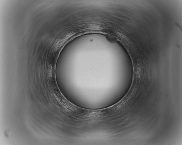 X0000100411161200806201752