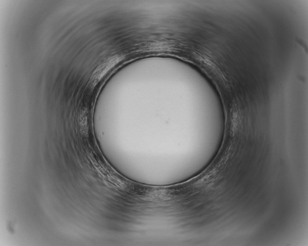 X0000100411162200806201752