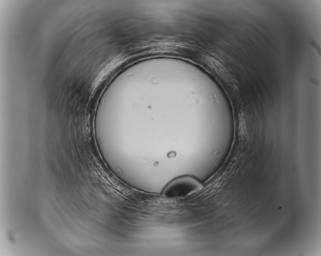 X0000100411164200806201752