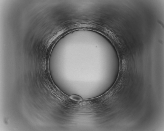 X0000100411165200806201752