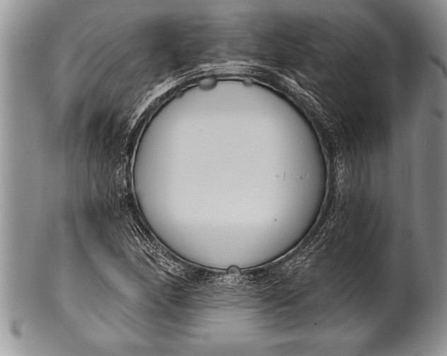 X0000100411166200806201752