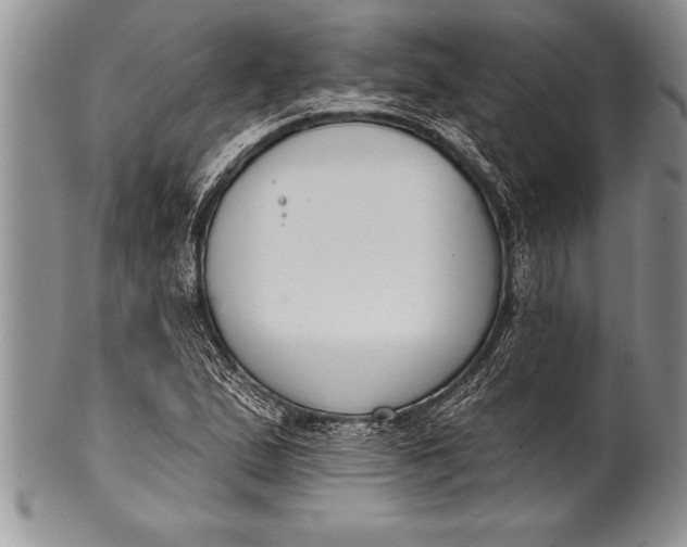 X0000100411167200806201752