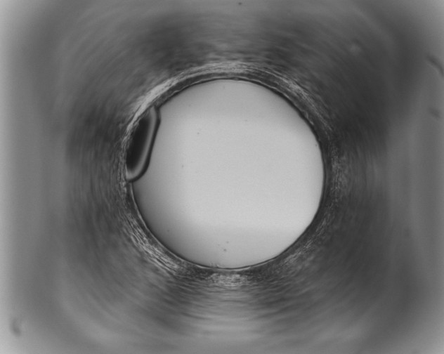 X0000100411168200806201752