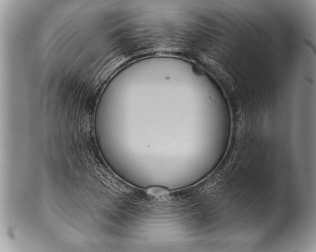 X0000100411169200806201752