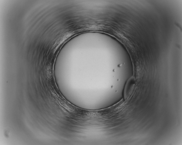 X0000100411170200806201752