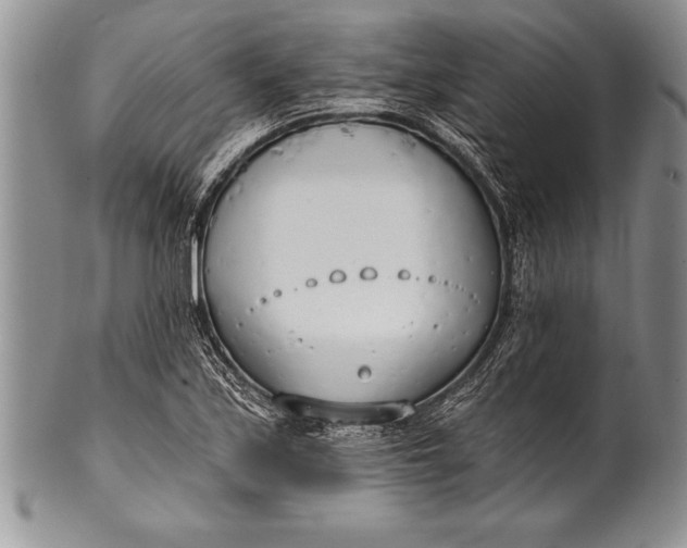 X0000100411171200806201752