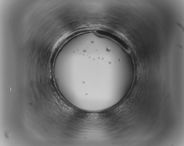 X0000100411172200806201752