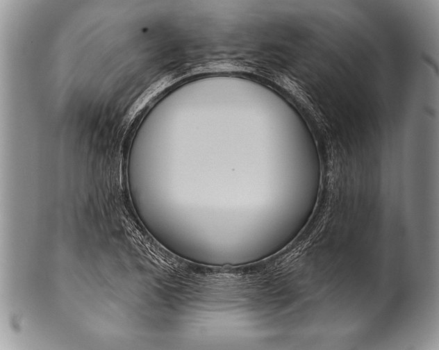 X0000100411173200806201752