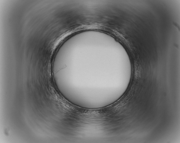 X0000100411174200806201752