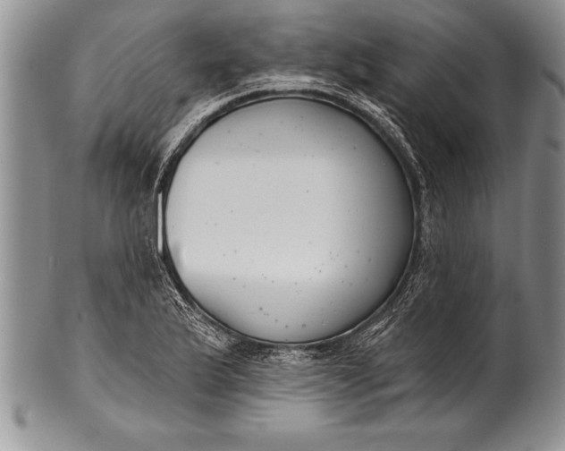 X0000100411175200806201752