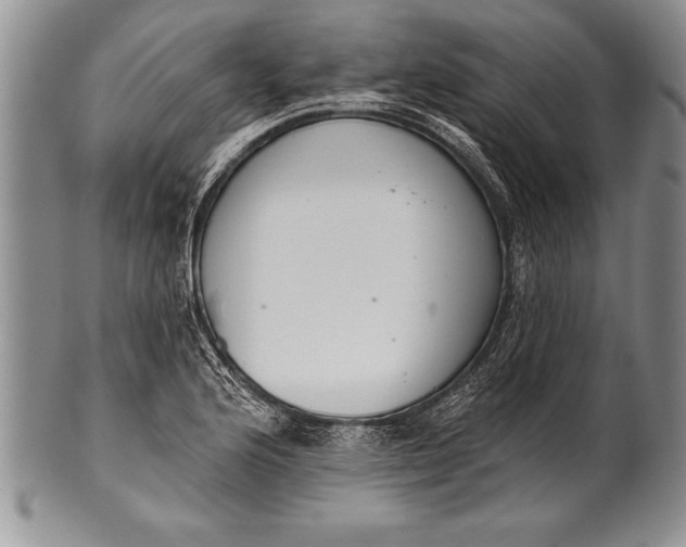 X0000100411176200806201752