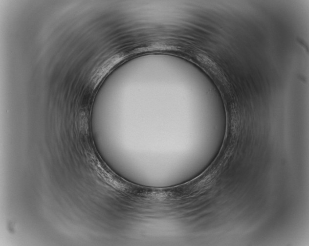 X0000100411177200806201752