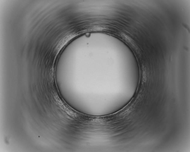 X0000100411178200806201752