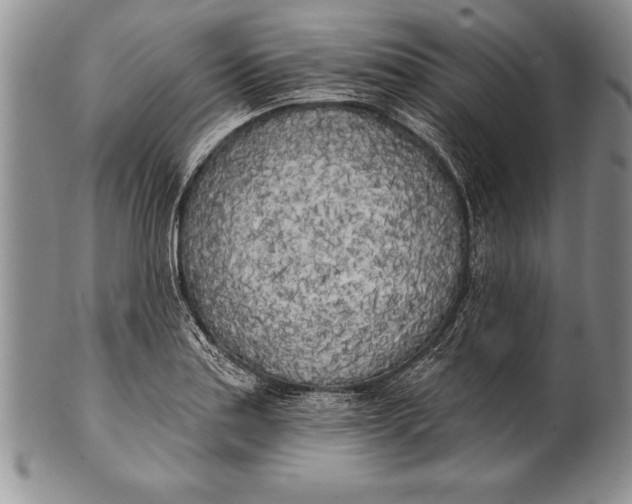 X0000100411179200806201752