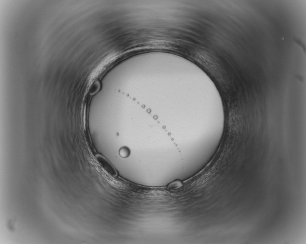 X0000100411180200806201752