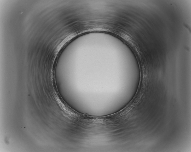 X0000100411181200806201752