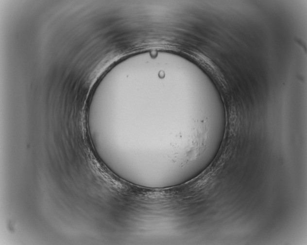 X0000100411182200806201752