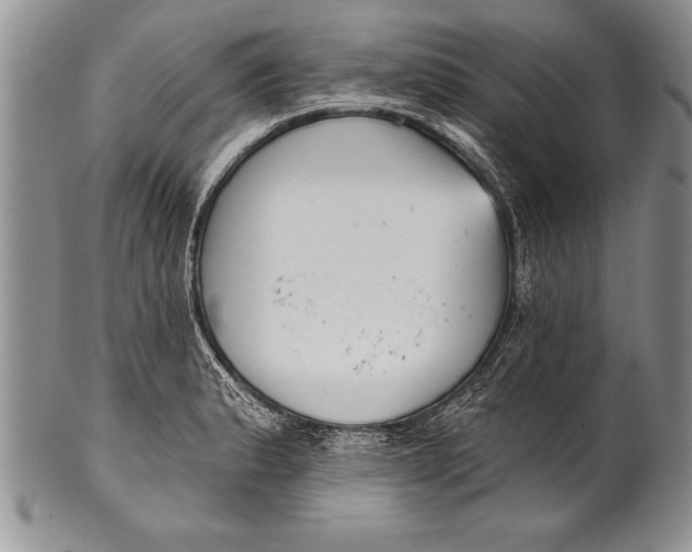 X0000100411183200806201752