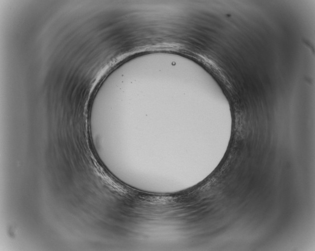 X0000100411184200806201752