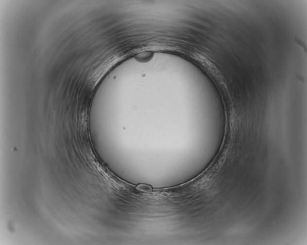 X0000100411185200806201752