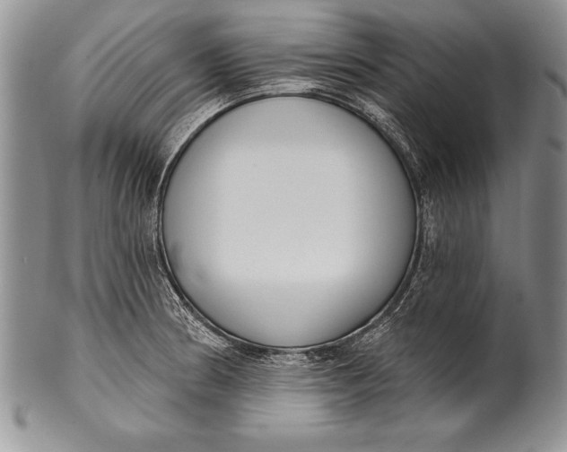 X0000100411186200806201752