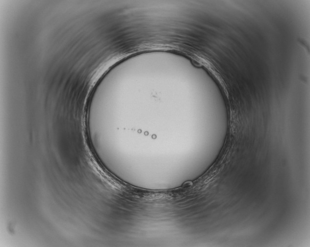 X0000100411187200806201752