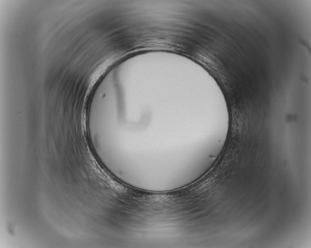 X0000100411188200806201752