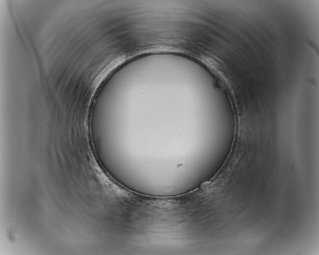 X0000100411189200806201752