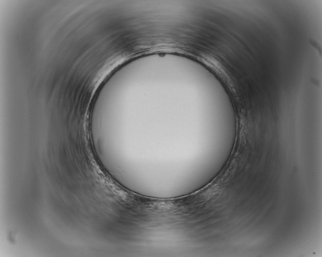 X0000100411190200806201752