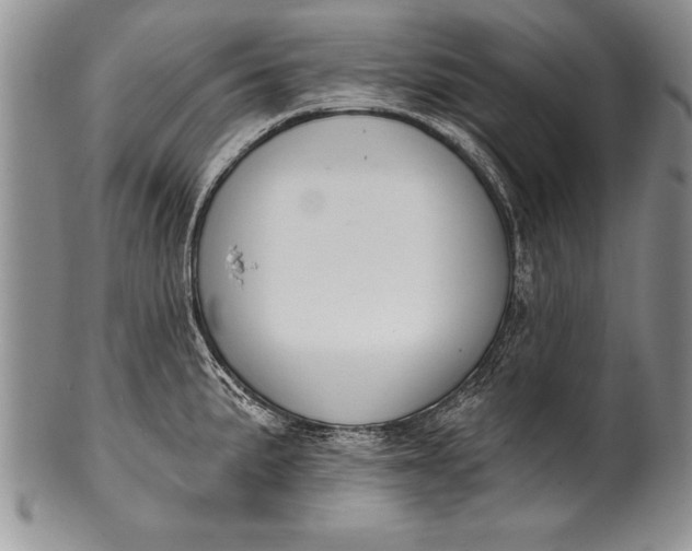 X0000100411191200806201752