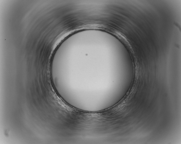 X0000100411192200806201752