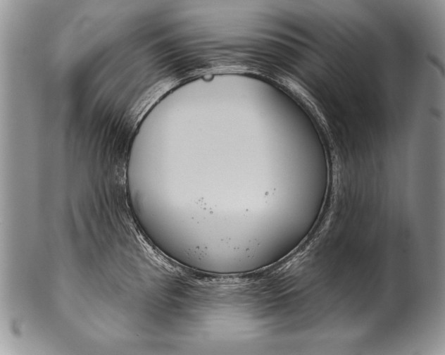 X0000100411193200806201752