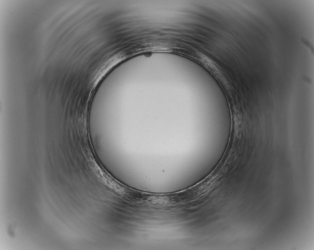 X0000100411194200806201752