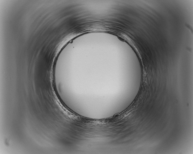 X0000100411195200806201752